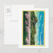Sutter Buttons und Orchards im Blut Postkarte (Vorne/Hinten)
