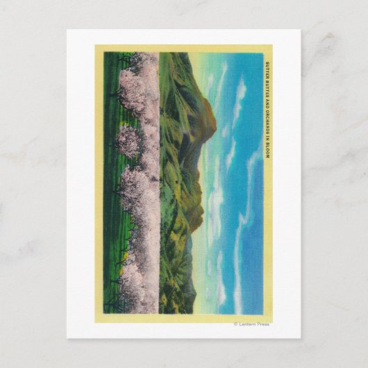 Sutter Buttons und Orchards im Blut Postkarte (Vorderseite)
