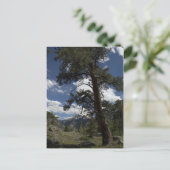 Sutton-Minen-Sicht Postkarte (Stehend Vorderseite)