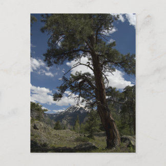 Sutton-Minen-Sicht Postkarte