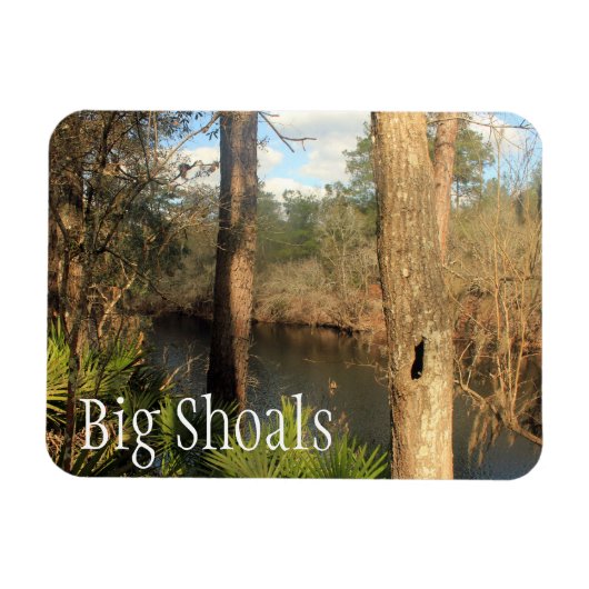 Suwanee River, Big Shoals Staat Park, Florida Magnet (Horizontal)