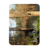 Suwanee River, Big Shoals Staat Park, Florida Magnet (Vertikal)