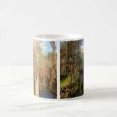 Suwanee River, Big Shoals Staat Park, Florida Tass Kaffeetasse (Mittel)