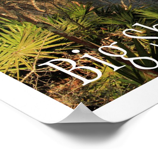 Suwanne River, Big Shoals Staat Park, Florida Poster (Ecke)