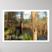 Suwanne River, Big Shoals Staat Park, Florida Poster (Vorne)