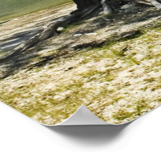 Suwannee River Beach Print Poster (Ecke)