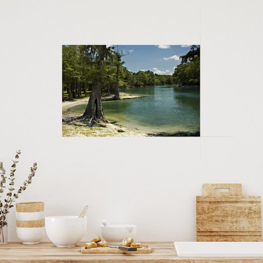 Suwannee River Beach Print Poster (Küche)