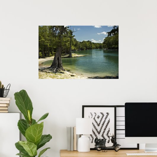 Suwannee River Beach Print Poster (Heimbüro)