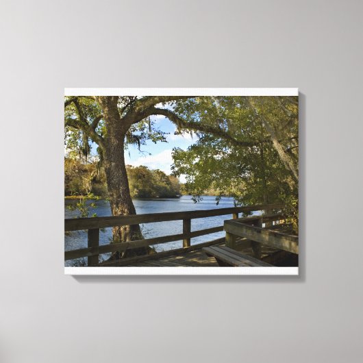 Suwannee River bei Hart Springs Leinwanddruck (Vorderseite)