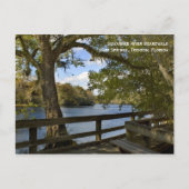 Suwannee River Boardwalk Postcard Postkarte (Vorderseite)