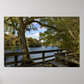 Suwannee River Boardwalk Print Poster (Vorne)