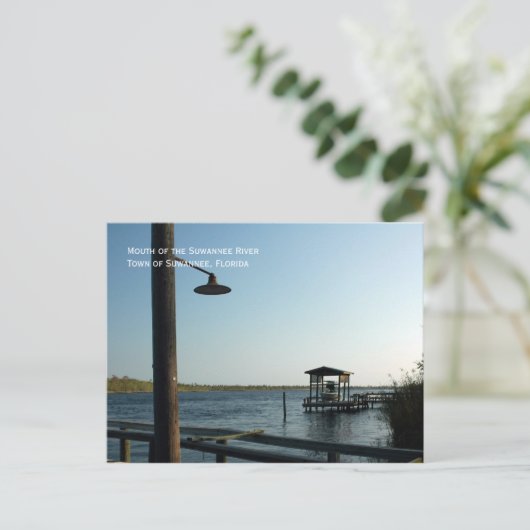 Suwannee River Dock Postcard Postkarte (Stehend Vorderseite)