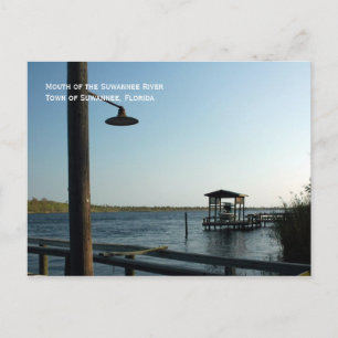 Suwannee River Dock Postcard Postkarte