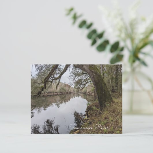 Suwannee River Postcard Postkarte (Stehend Vorderseite)