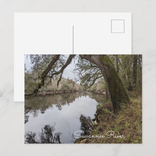 Suwannee River Postcard Postkarte (Vorne/Hinten)