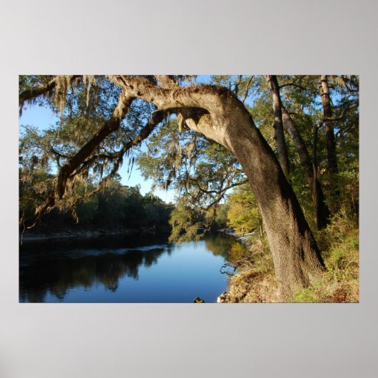 Suwannee River Poster (Vorne)