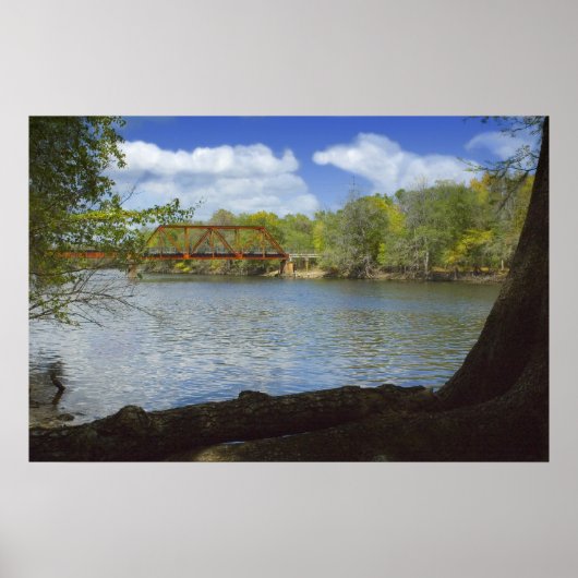 Suwannee River Railroad Trestle Print Poster (Vorne)