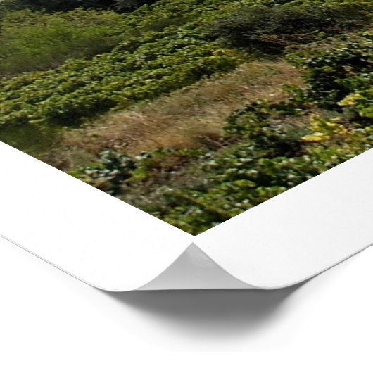 Suzette, Frankreich Poster (Ecke)