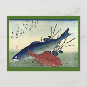 Suzuki & Kimmedai - Japanischer Fisch aus Hiroshig Postkarte