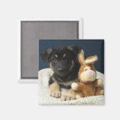 Suzy Q Magnet (Vorderseite/Rückseite)