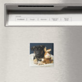 Suzy Q Magnet (In Situ (Geschirrspüler))