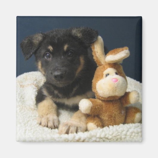 Suzy Q Magnet (Vorne)