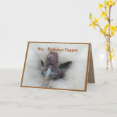 Suzzie Bantam 2143- anpassen Karte (Gelbe Blume)