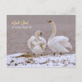 Svanpar i nysnö CC0804 Julhälsning Postkarte (Vorderseite)