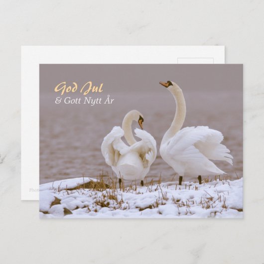 Svanpar i nysnö CC0804 Julhälsning Postkarte (Vorne/Hinten)