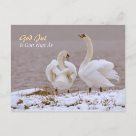 Svanpar i nysnö CC0804 Julhälsning Postkarte