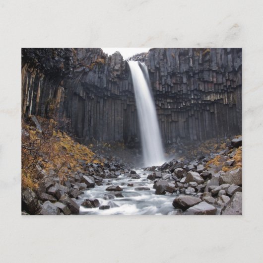Svartifoss Wasserfall in Island Postkarte (Vorderseite)