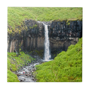 Svartifoss Wasserfall in Skaftafell - Island Fliese