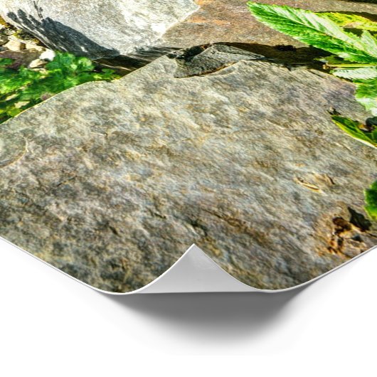 Svartifoss Wasserfall, Island Poster (Ecke)