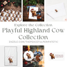 Playful Highland Cow