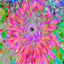 Colorful Rainbow Abstract Decorative Dahlia Flower