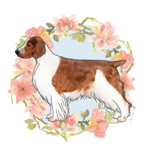 Welsh Springer Spaniel
