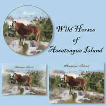 Wild Horses of Assateague Island