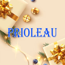 Prioleau_Name T-Shirt