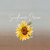 Sunflower_Dream