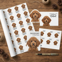 Sending Love From Detroit