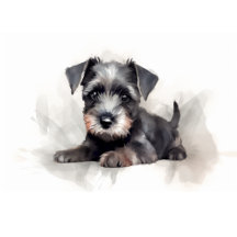 Miniature Schnauzer: Watercolor Art Collection