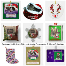 Holiday Décor Animals Ornaments & More