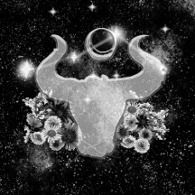 Taurus Birthday