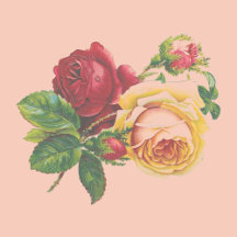 Pillows - Girl's Room