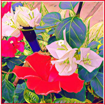 Elegant Happy Birthday Cards for Her