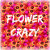 Flower_Crazy_Corner