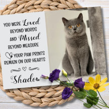 Cat Loss Sympathy Cards