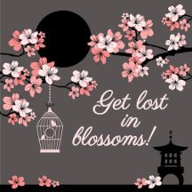 Get lost in blossoms