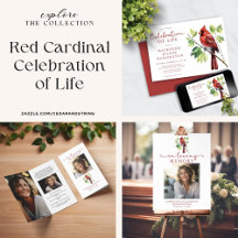 Cardinal Bird Memorials and Funerals