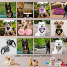 Kingdom Pet Supplies: Bandanas, Leashes, and More